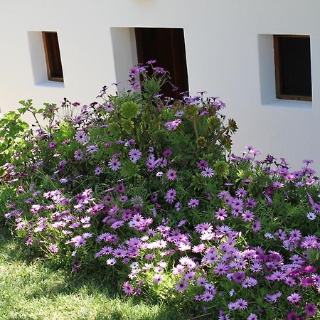 Agroturismo Can Fuster Sant Joan De Labritja Dış mekan fotoğraf