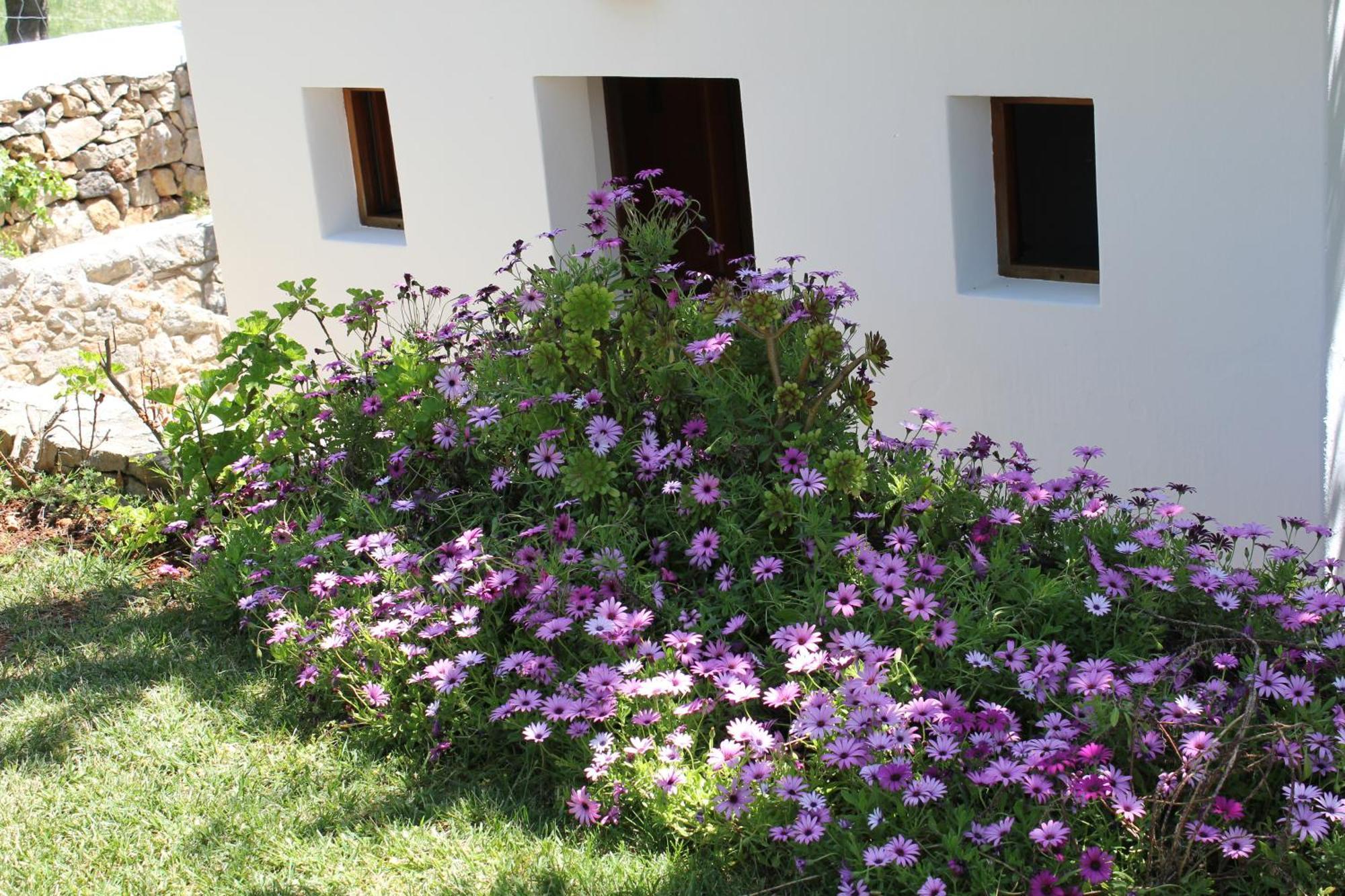Agroturismo Can Fuster Sant Joan De Labritja Dış mekan fotoğraf