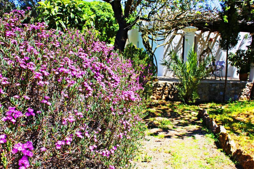 Agroturismo Can Fuster Sant Joan De Labritja Dış mekan fotoğraf