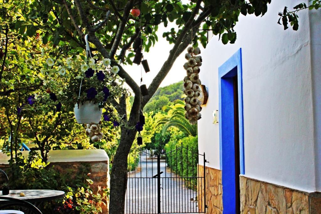 Agroturismo Can Fuster Sant Joan De Labritja Dış mekan fotoğraf